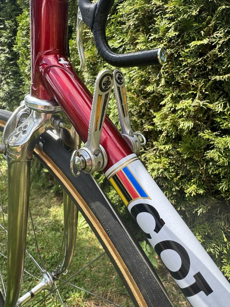 Colnago Nuovo Mexico