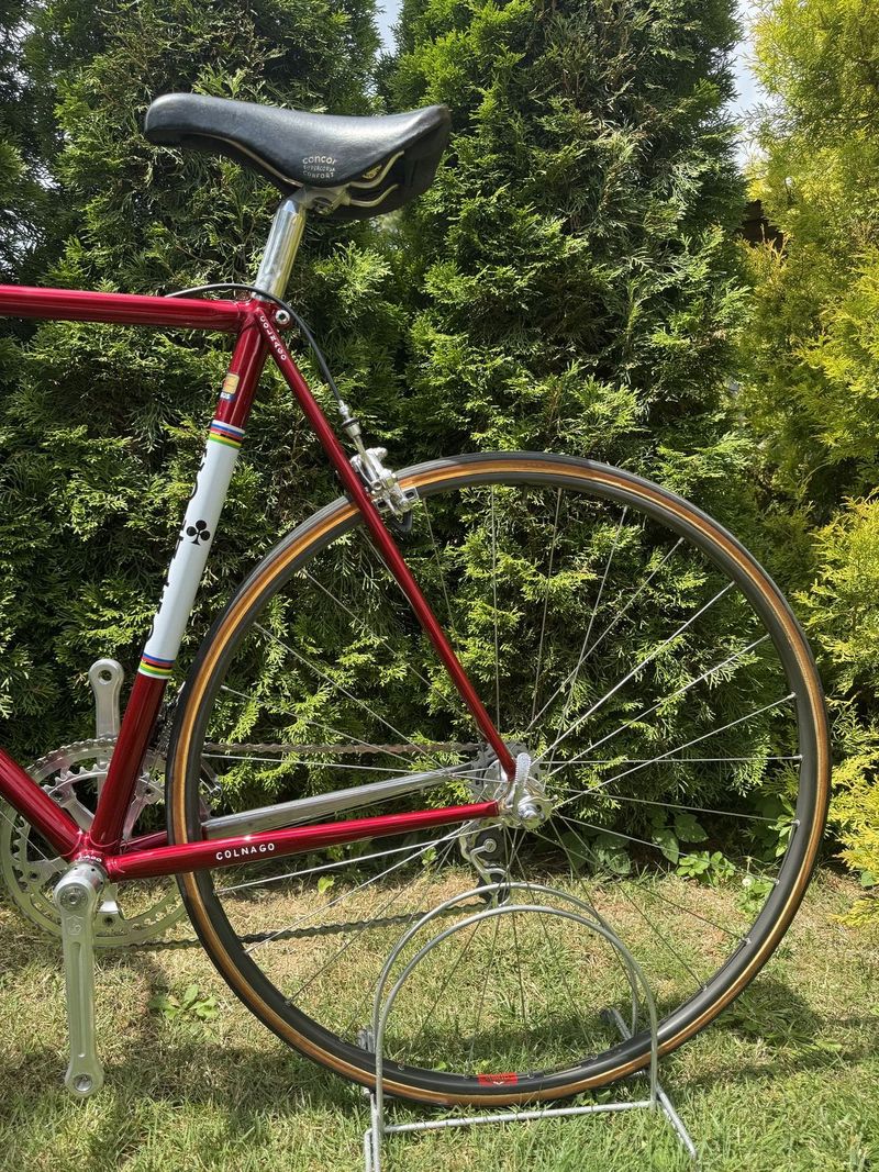 Colnago Nuovo Mexico