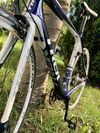 Trek Madone 3.1