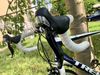 Trek Madone 3.1