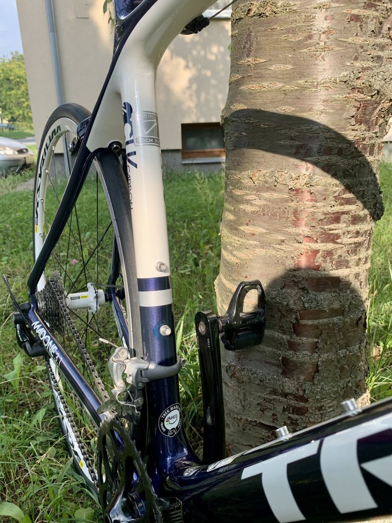 Trek Madone 3.1