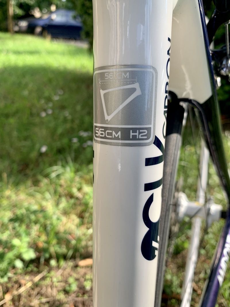Trek Madone 3.1
