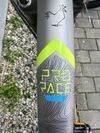 Lapierre ProRace 3.9