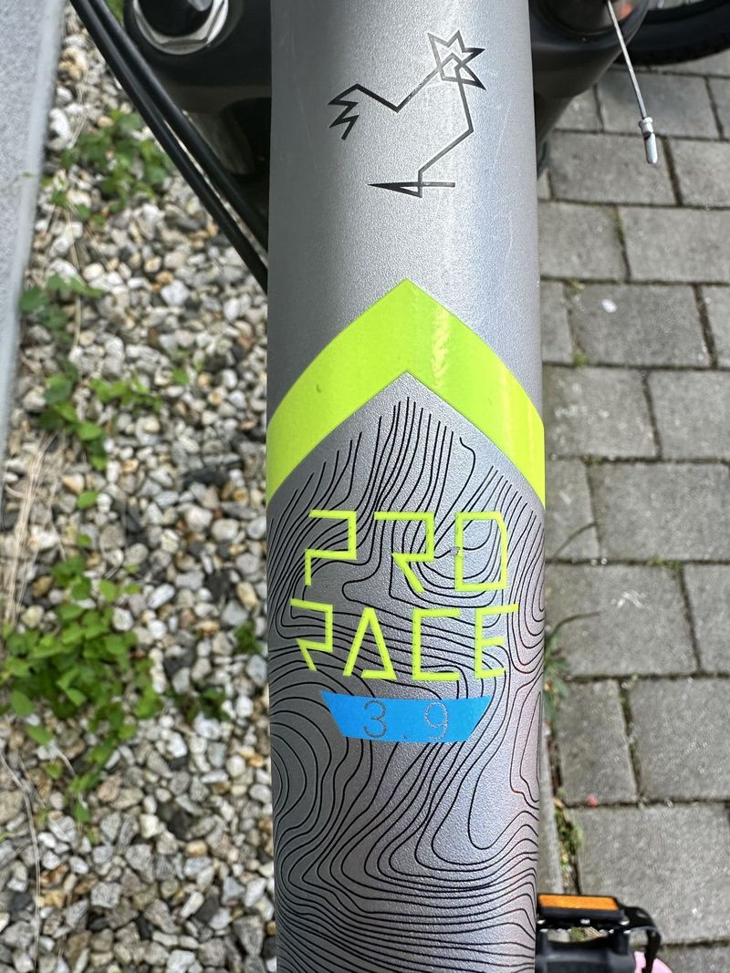 Lapierre ProRace 3.9