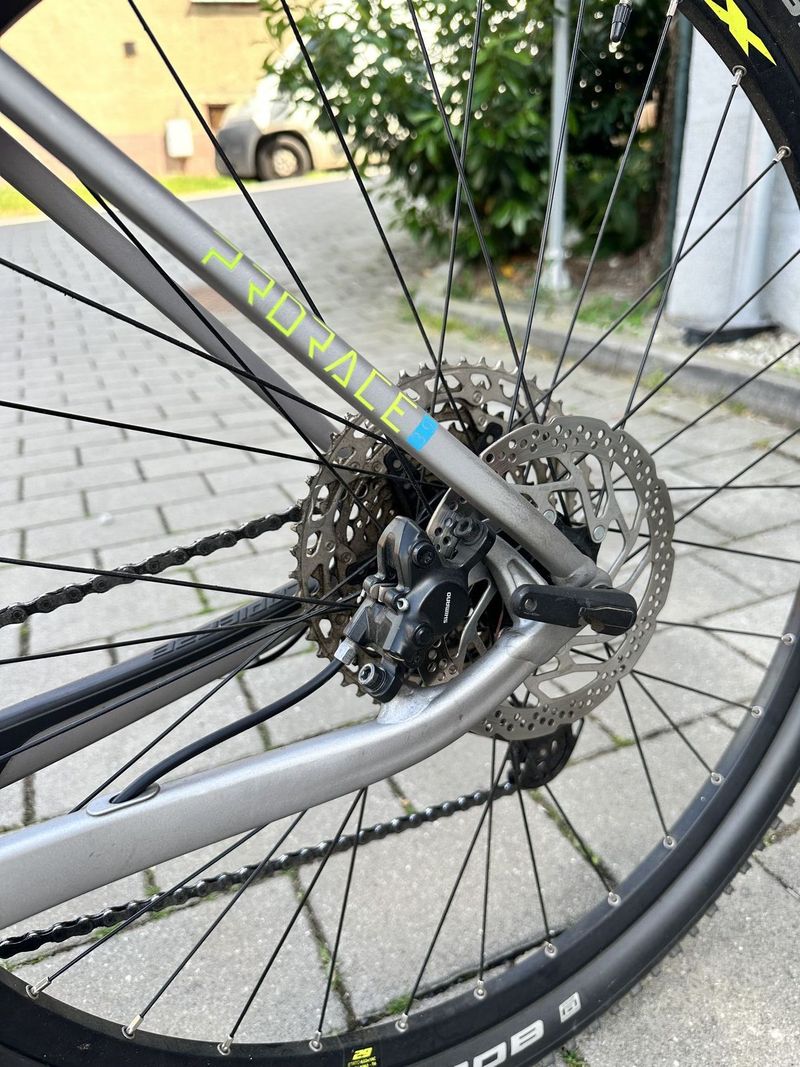 Lapierre ProRace 3.9