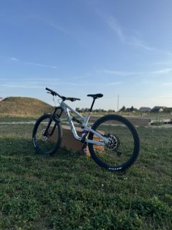 Canyon Spectral 5 - 2024