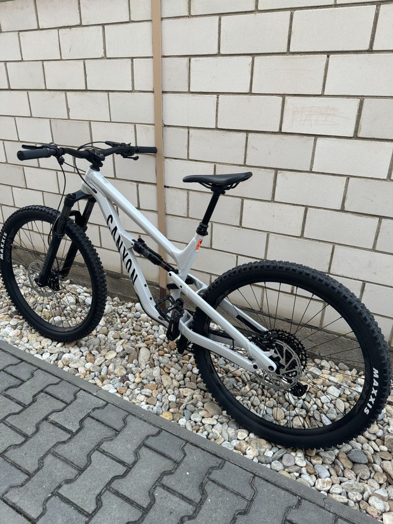 Canyon Spectral 5 - 2024