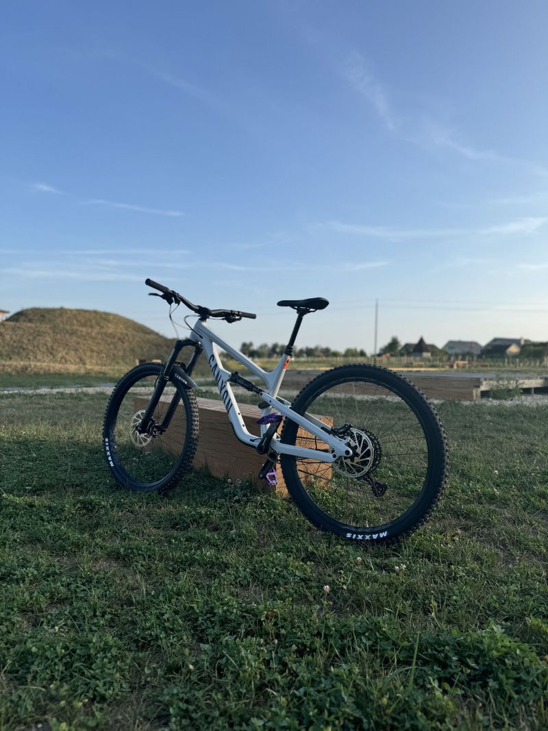 Canyon Spectral 5 - 2024