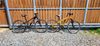 Specialized Hotrock 24
