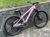 Specialized P3 dirtjump