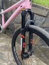 Specialized P3 dirtjump