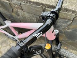 Specialized P3 dirtjump