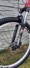 Pells Unisex hardtail