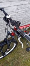 Pells Unisex hardtail