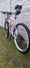 Pells Unisex hardtail