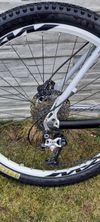 Pells Unisex hardtail