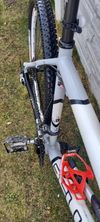Pells Unisex hardtail