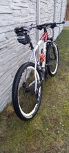 Pells Unisex hardtail