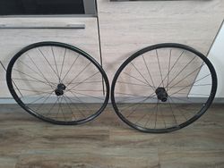 Kola Bontrager Paradigm