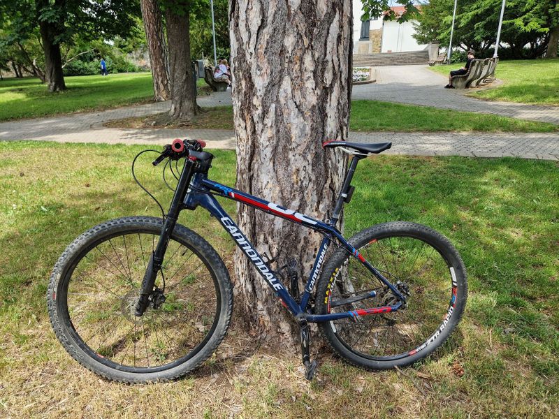 Cannondale F29 lefty
