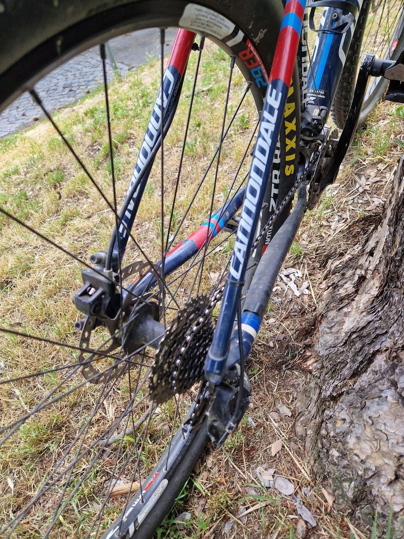 Cannondale F29 lefty