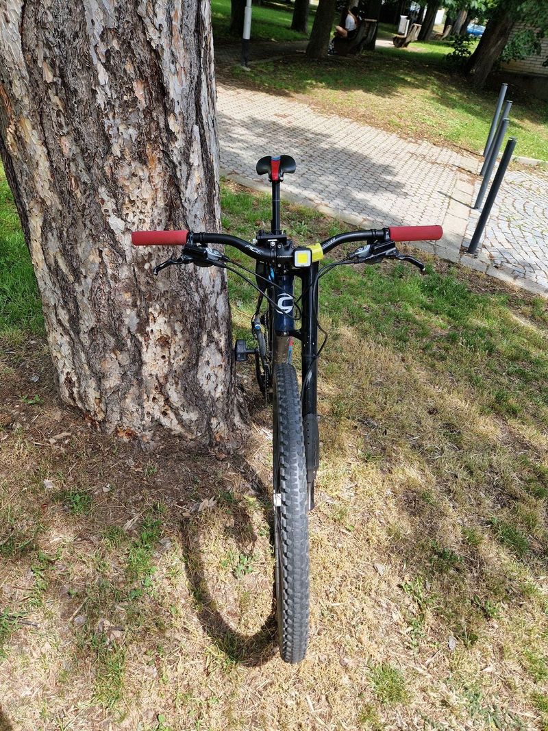 Cannondale F29 lefty