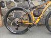 Conway 29 vel. S 10kg