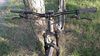 Focus Whistler 3.9 29"