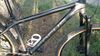 Focus Whistler 3.9 29"