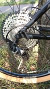 Focus Whistler 3.9 29"