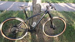 Focus Whistler 3.9 29"
