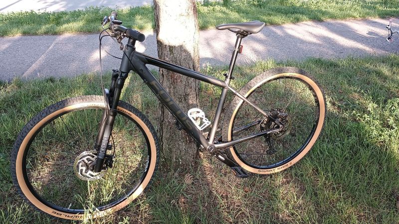 Focus Whistler 3.9 29"