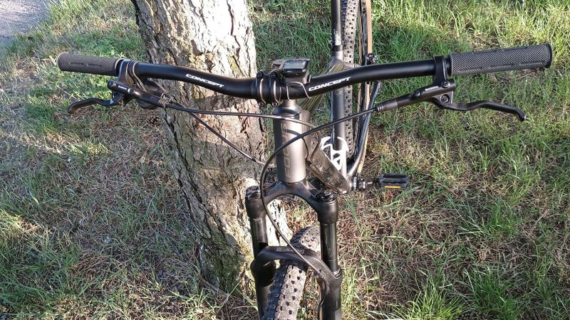 Focus Whistler 3.9 29"