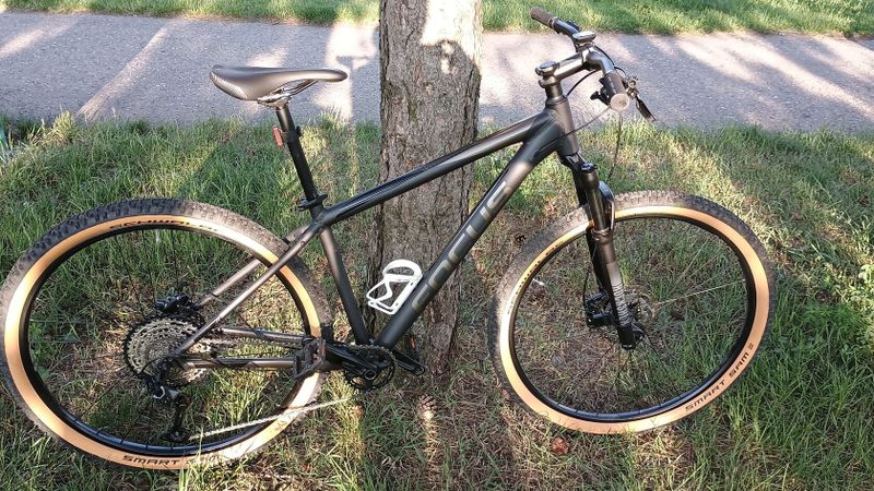 Focus Whistler 3.9 29"