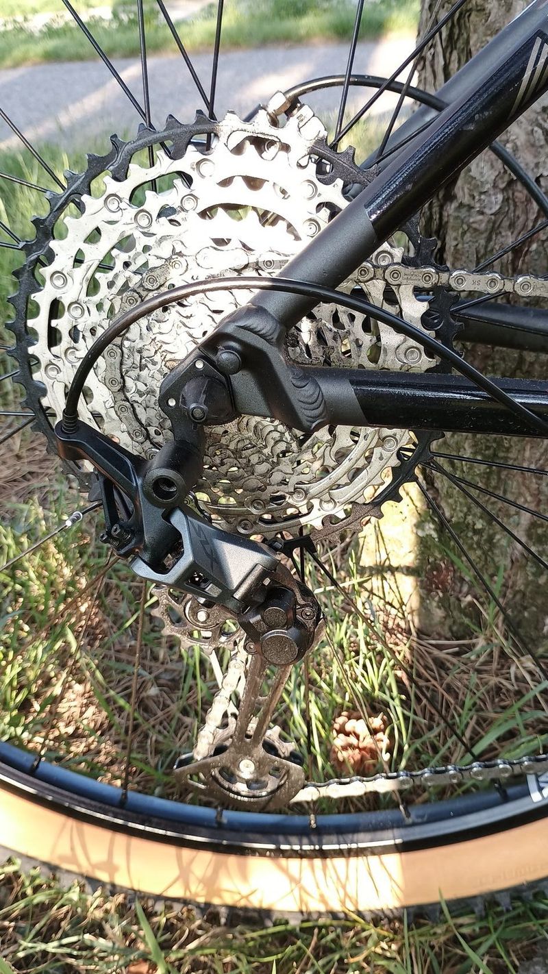 Focus Whistler 3.9 29"