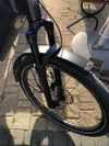 Riese Muller Homage Rohloff 1250wh