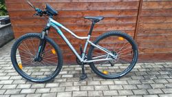 Specialized Jett Sport 29 2015