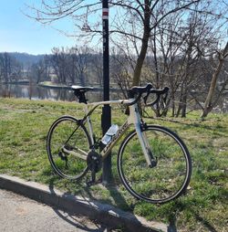 Lapierre Pulsium 5.0 - XL / 58