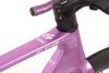 GUSTO COBRA EVO SPORT TE