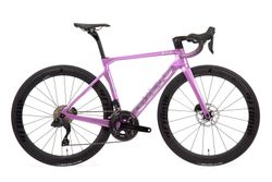 GUSTO COBRA EVO SPORT TE