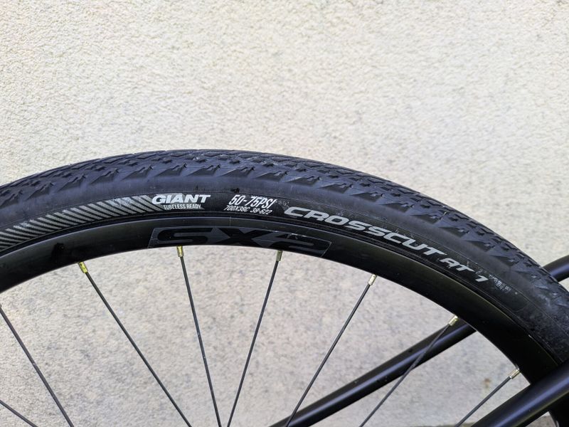 Giant Revolt 0, model 2021, koupeno 08/2022