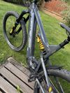 Intense Tazer Mx