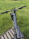 Intense Tazer Mx