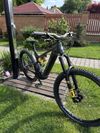 Intense Tazer Mx