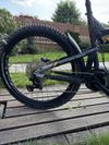 Intense Tazer Mx