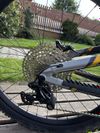 Intense Tazer Mx