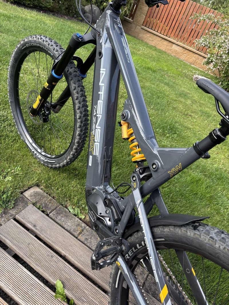 Intense Tazer Mx