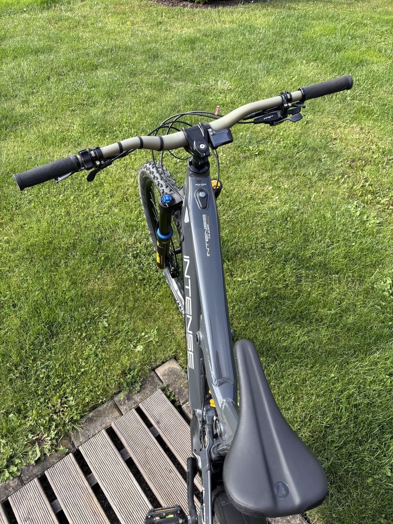 Intense Tazer Mx