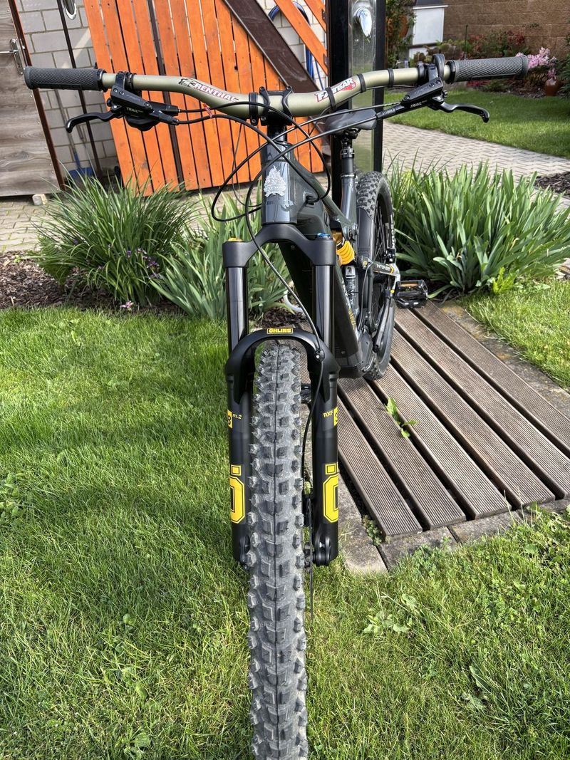 Intense Tazer Mx