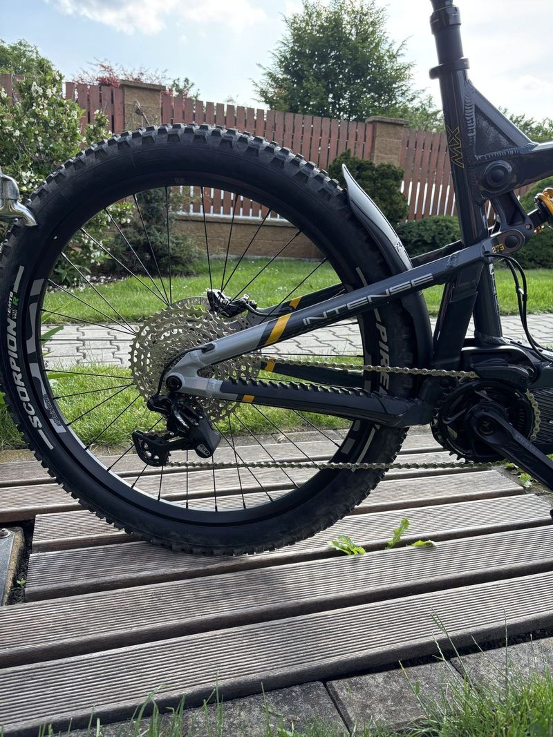 Intense Tazer Mx